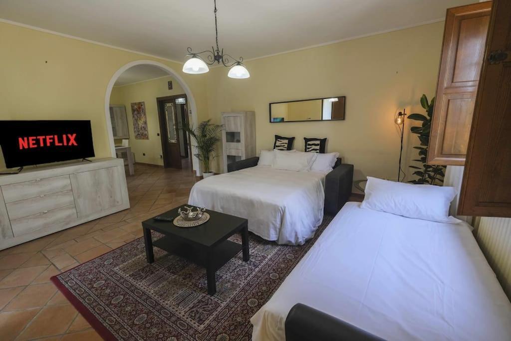 Villa Luxury Pool & Garden Pisa Kültér fotó