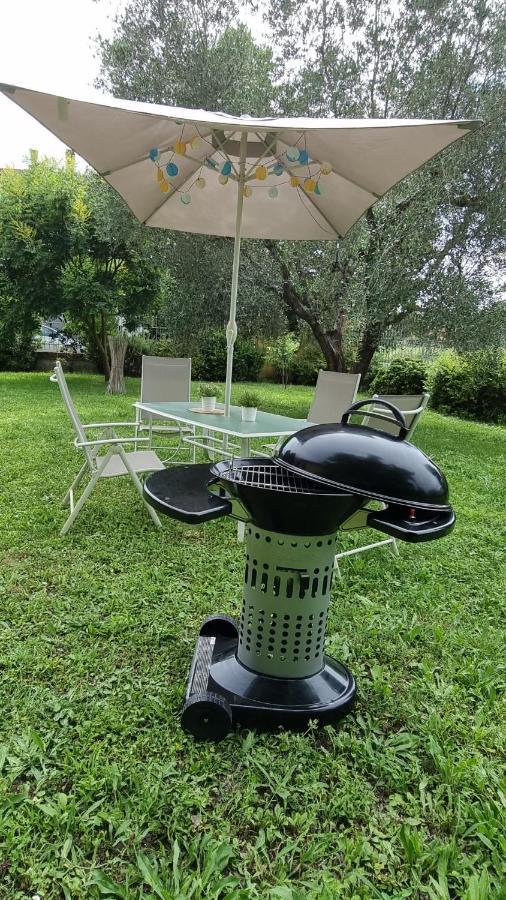 Villa Luxury Pool & Garden Pisa Kültér fotó